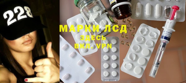 индика Богородицк