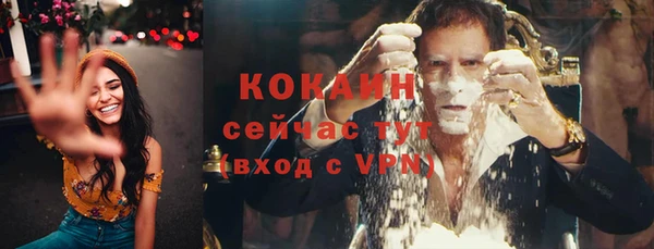 индика Богородицк