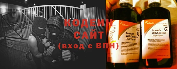 индика Богородицк