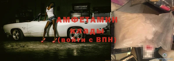 гашиш Богданович