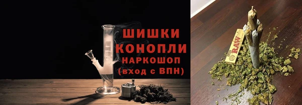 индика Богородицк
