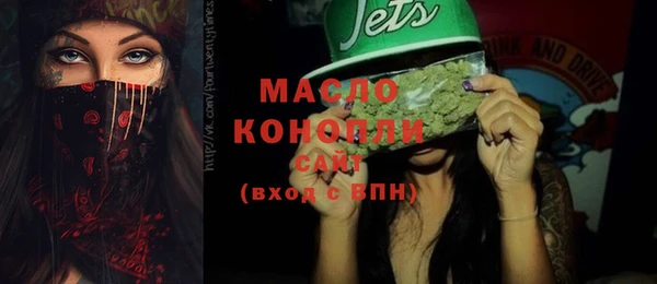 индика Богородицк