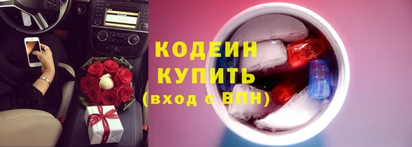 индика Богородицк