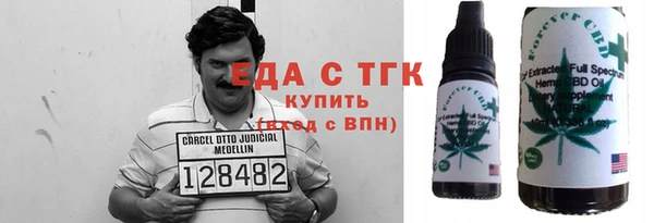 индика Богородицк
