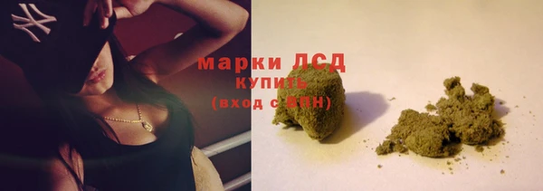 индика Богородицк