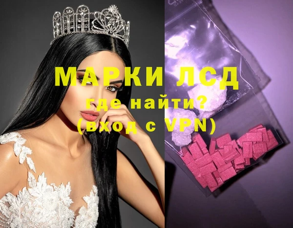 индика Богородицк