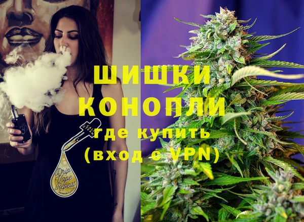 индика Богородицк