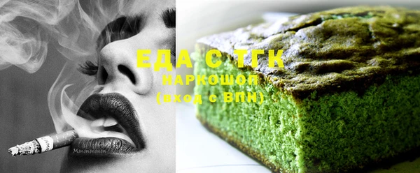 индика Богородицк
