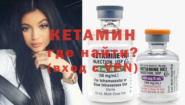 индика Богородицк