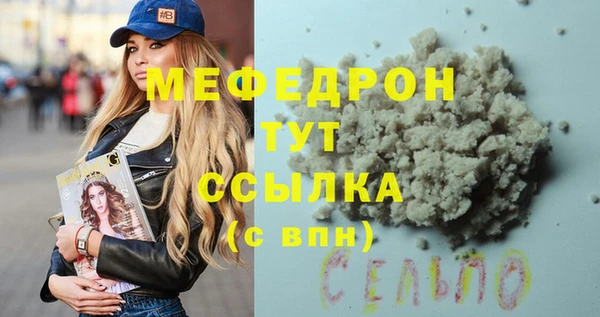 индика Богородицк