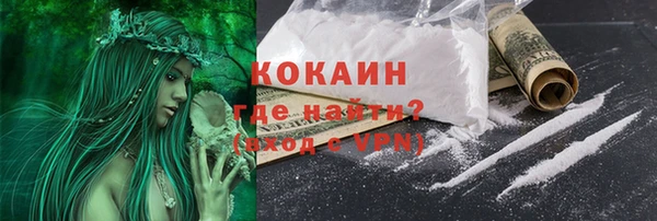 индика Богородицк
