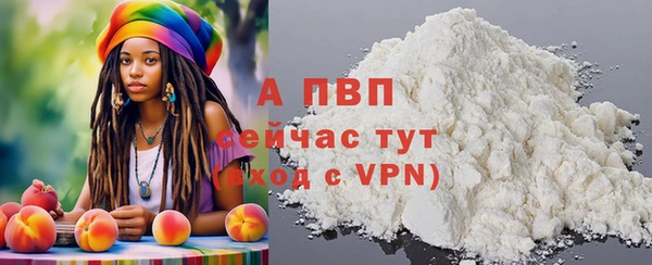 индика Богородицк