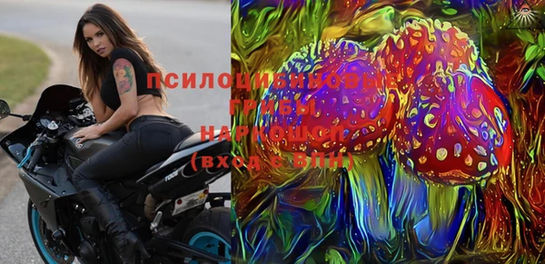 индика Богородицк