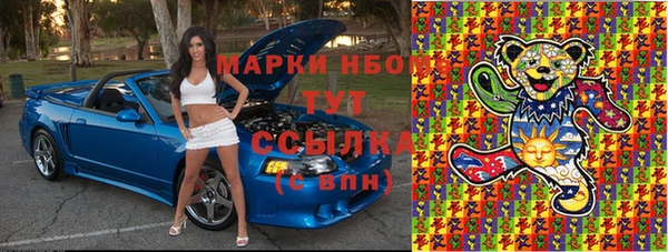 индика Богородицк