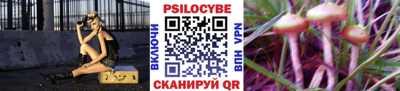 купить  сайты  сайты даркнета какой сайт  Псилоцибиновые грибы Psilocybine cubensis  Южноуральск  kraken зеркало 